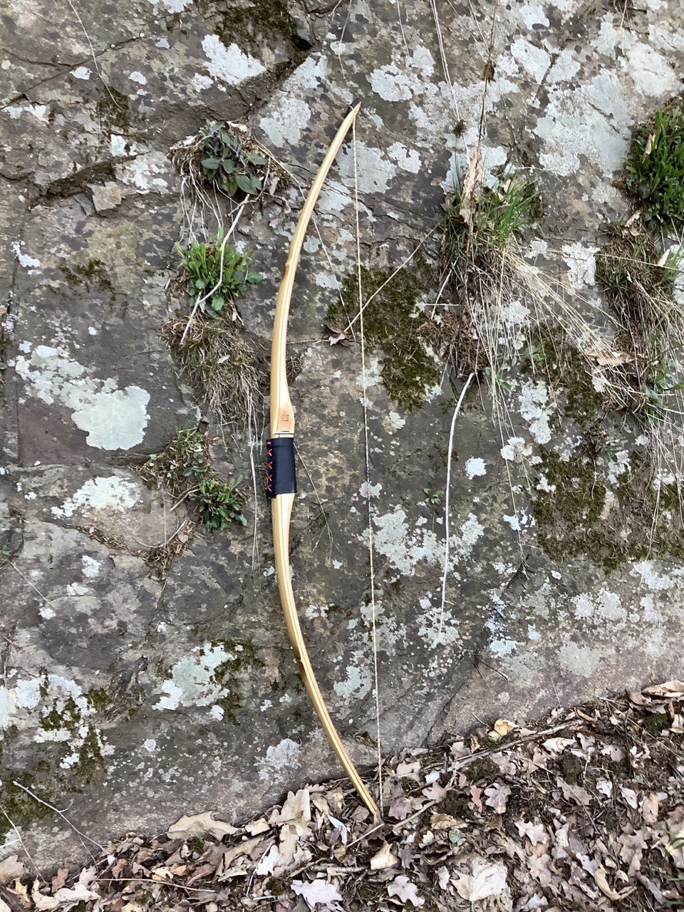 Bambus-Mahagonie-Bogen